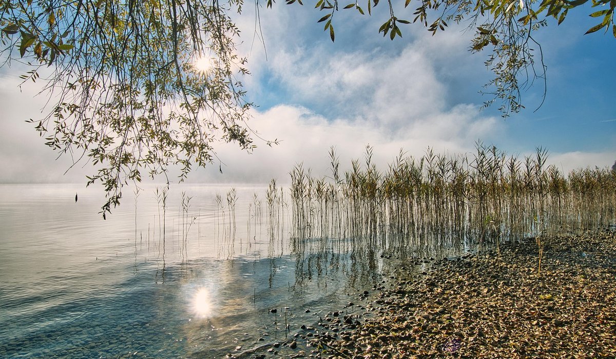 A Beginner's Guide to Fly Fishing on Small Chalk Streams