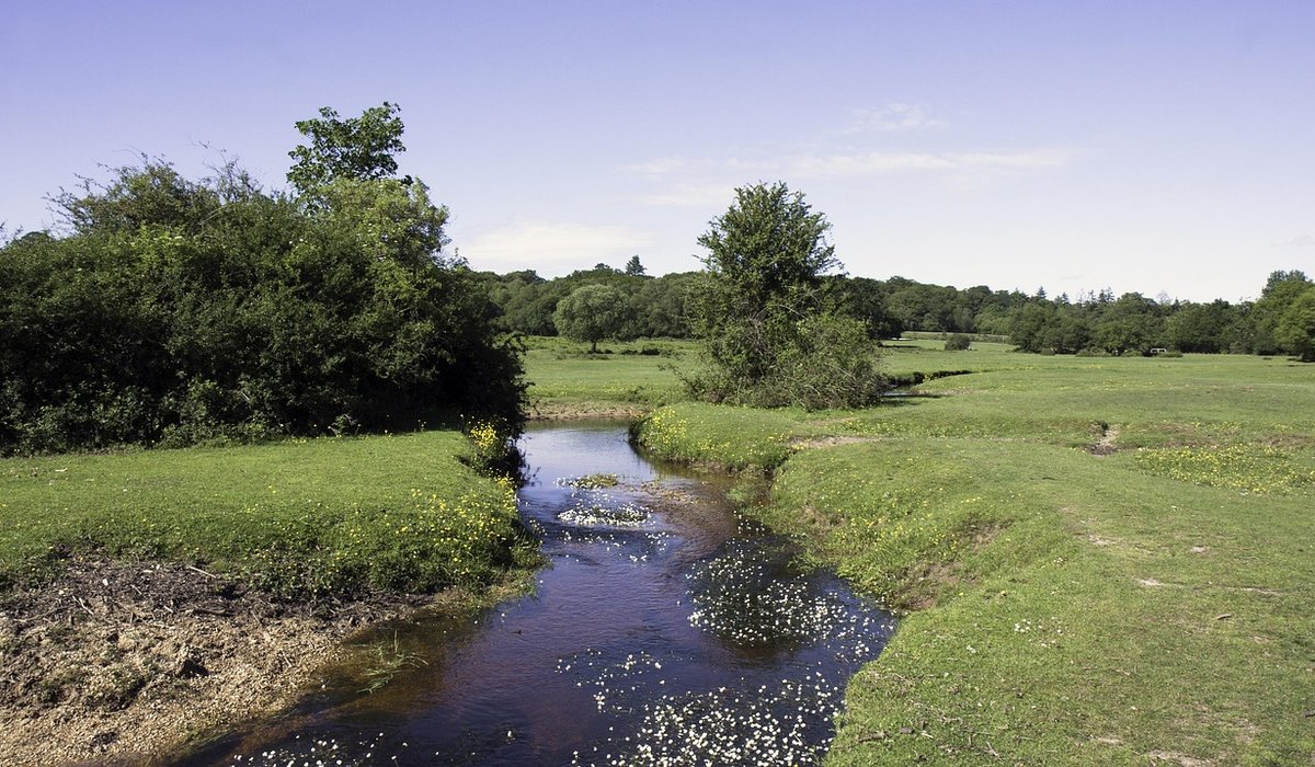 Keeping a Nature Journal by the Water Through the Seasons