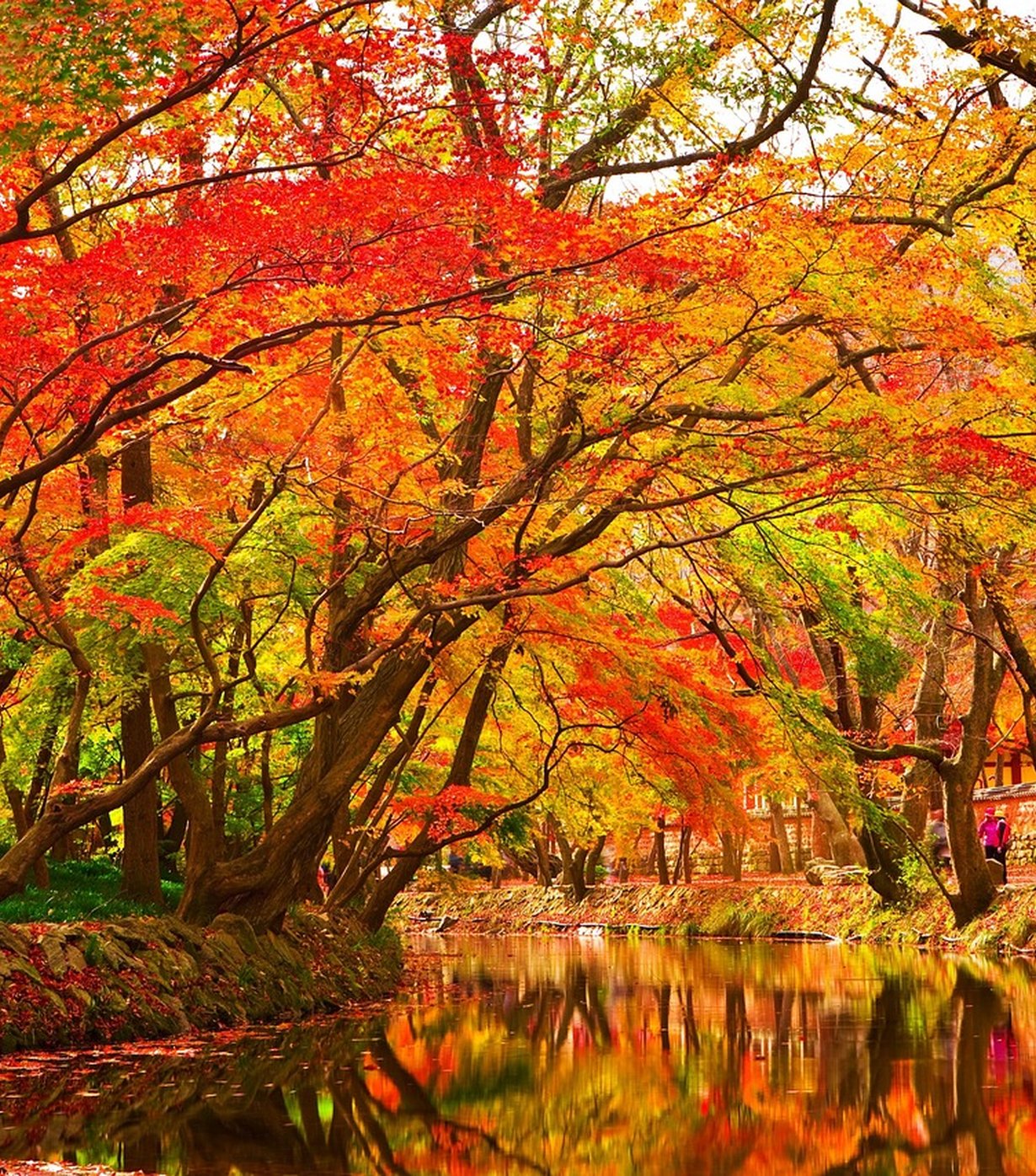 The Gentle Brook