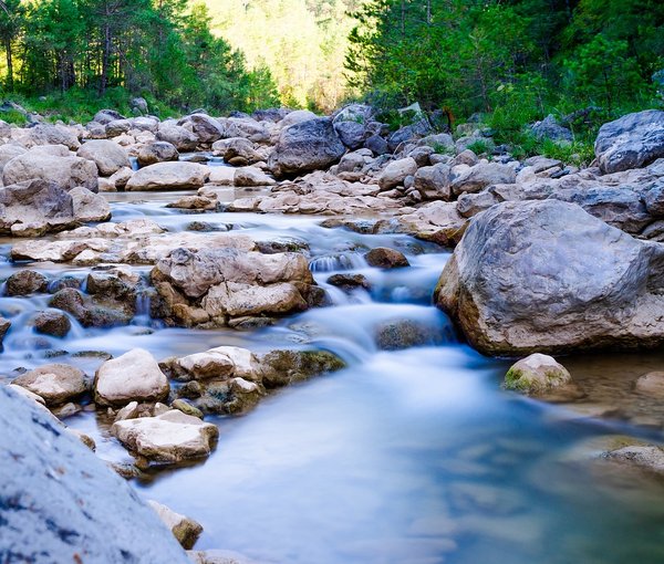 The Gentle Brook